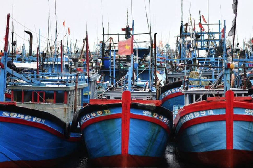 Doanh số thủy sản của Việt Nam sang EU tăng 20% trong nửa đầu năm 2021