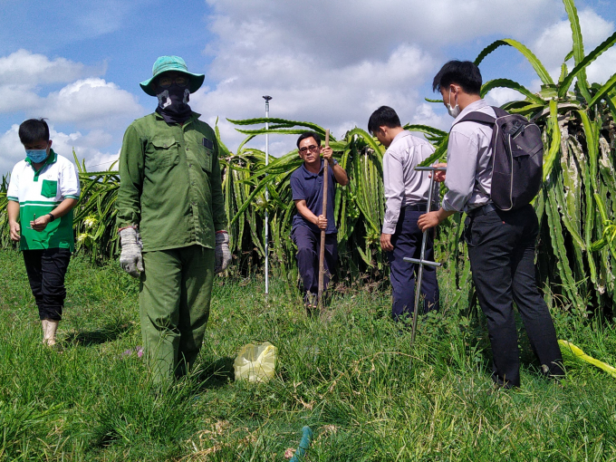Lộc Trời lấy mẫu đất cho dự án ‘Nâng cao chất lượng trái cây nhiệt đới’