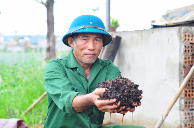 Làm ‘sống lại’ đất trồng cà phê nhờ sản xuất hướng hữu cơ