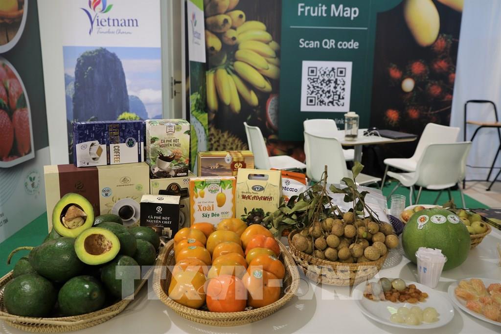Trái cây Việt Nam lần đầu ra mắt tại Hội chợ Macfrut 2021
