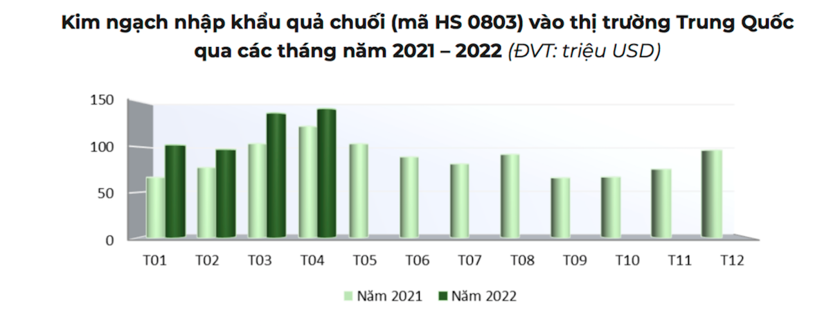 Việt Nam đang là thị trường cung cấp quả chuối lớn thứ hai cho Trung Quốc